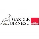 Gazele Biznesu - logo